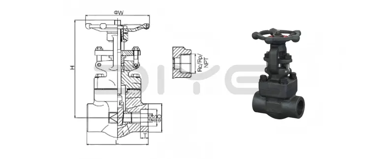 Forged Steel Gate Valve